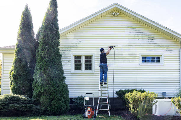 Best Roof Power Washing Services  in Seffner, FL