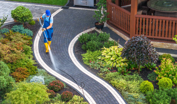 Best Exterior Home Cleaning  in Seffner, FL
