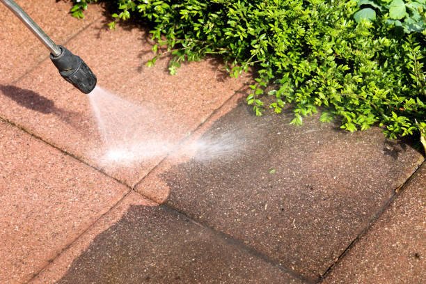 Best Affordable Pressure Washing  in Seffner, FL