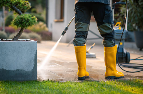 Best Residential Pressure Washing Services  in Seffner, FL